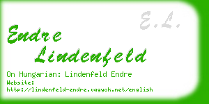 endre lindenfeld business card